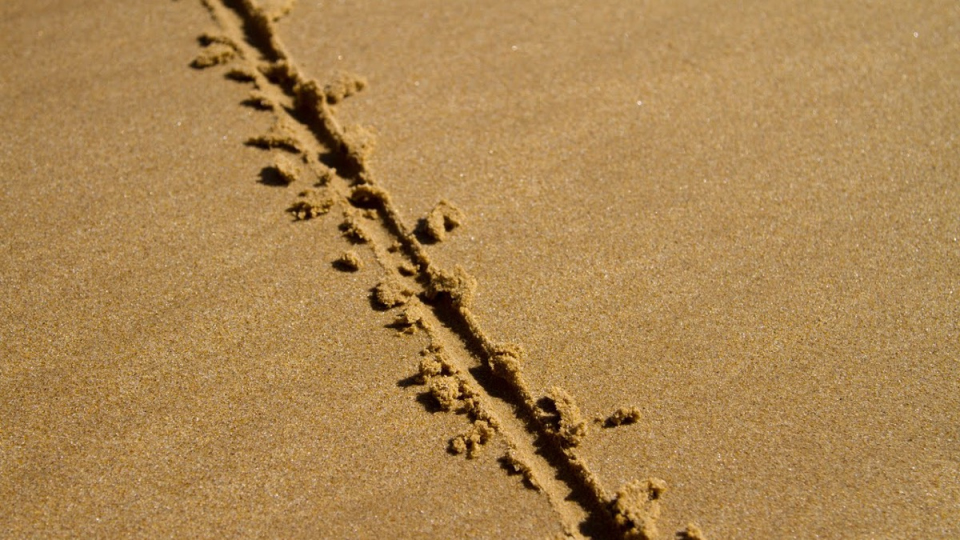 Train-the-Trainer on Cross-Functional Collaboration